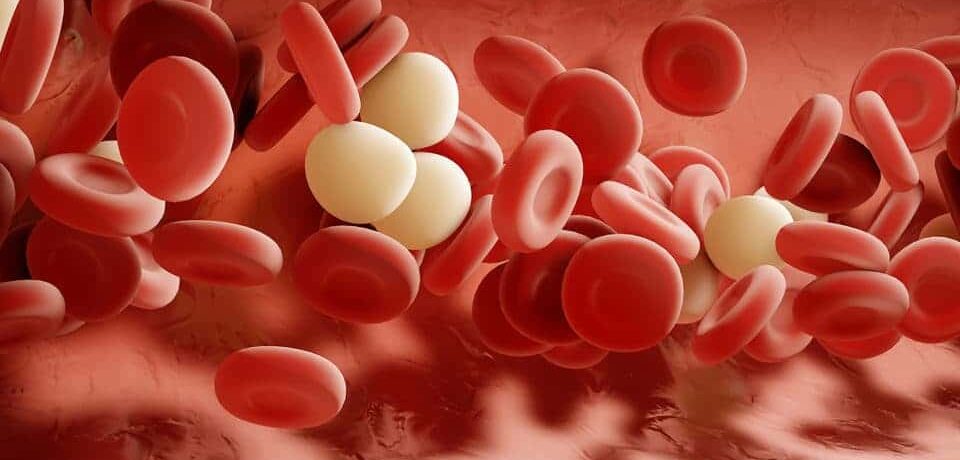 hormone-therapy-healthy-cholesterol-levels-960x600-1-min