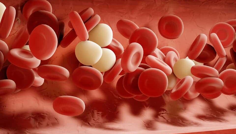 hormone-therapy-healthy-cholesterol-levels-960x600-1-min hormone-therapy-healthy-cholesterol-levels-960x600-1-min