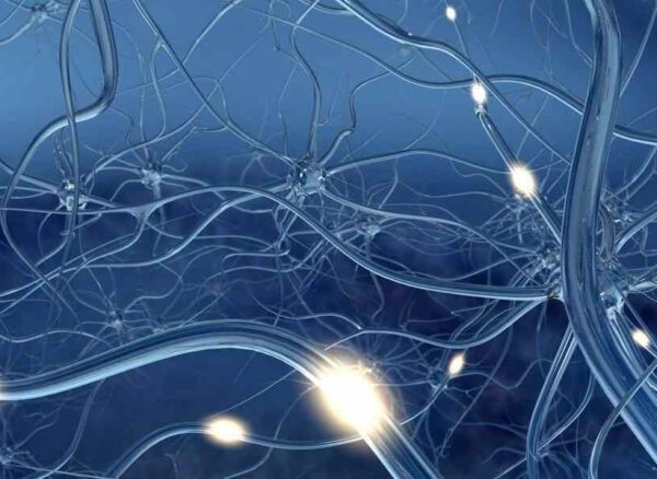 nerve-regeneration-960x600-1 (1)