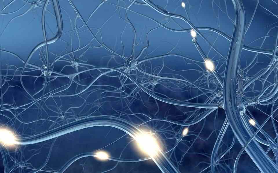 Nerve Regeneration with Platelet Rich Plasma