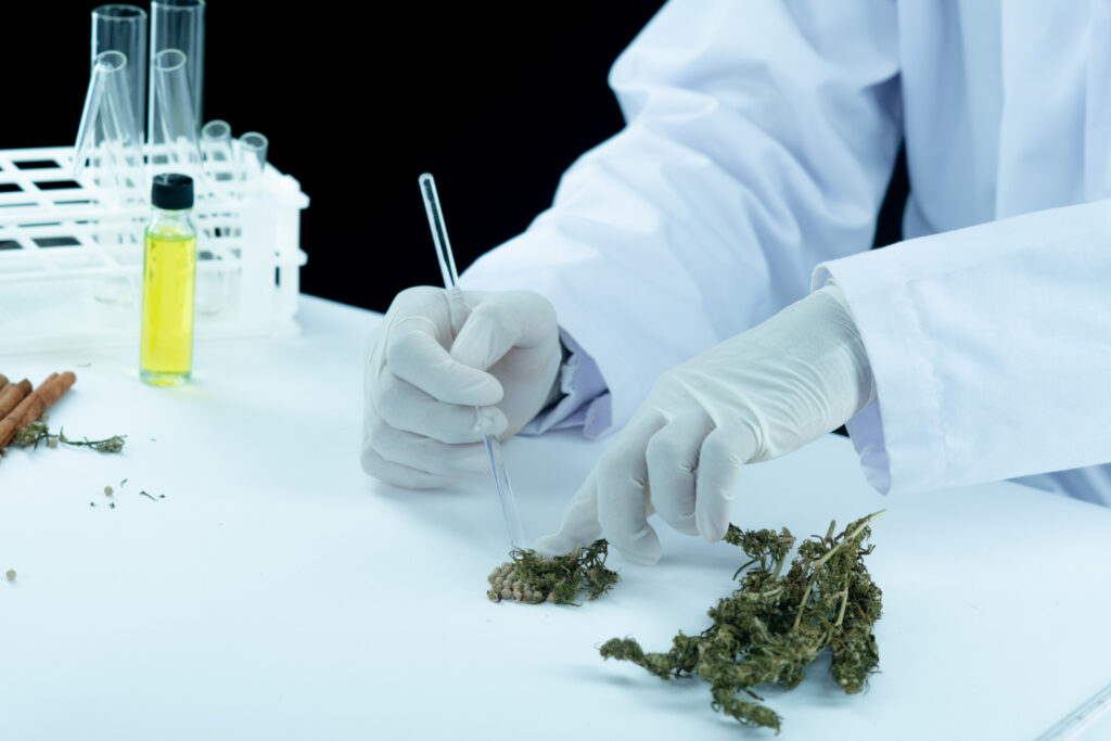 How Medical Marijuana Treatment Improves Lives Safely?