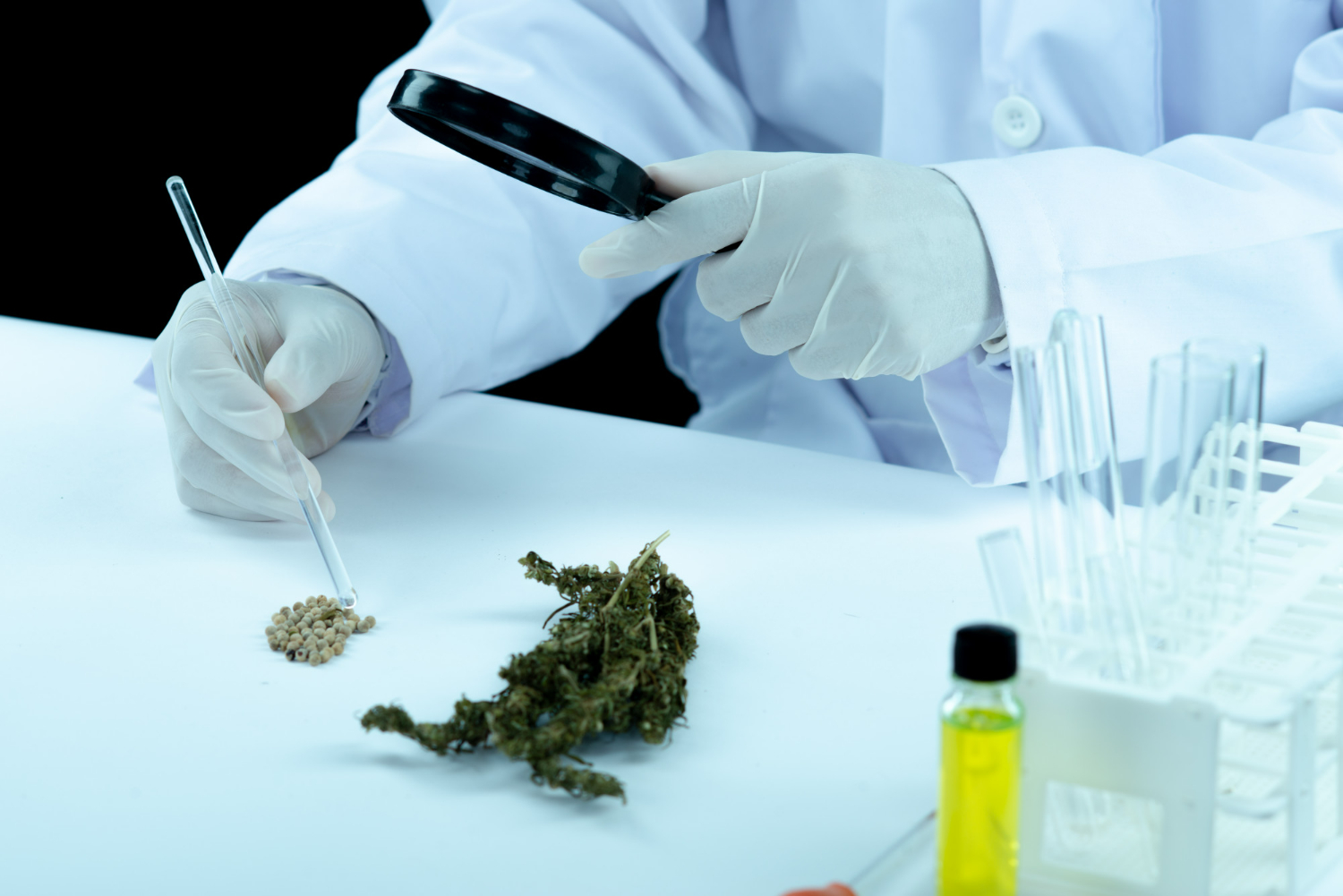Safety and Responsibility in Medical Cannabis Use